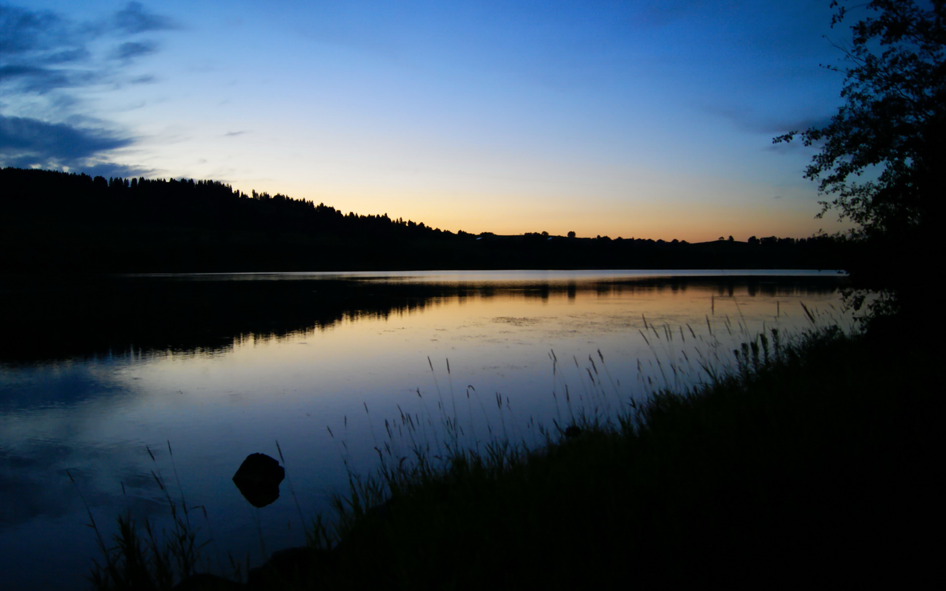 烽火燃城!张镇麟率公牛惊天逆袭深圳,一战封神