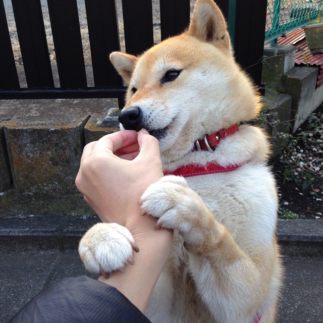 奇迹的裂缝，纳达尔在拉沃尔杯深夜赛场，打出了一记蒙特卡洛式的绝杀