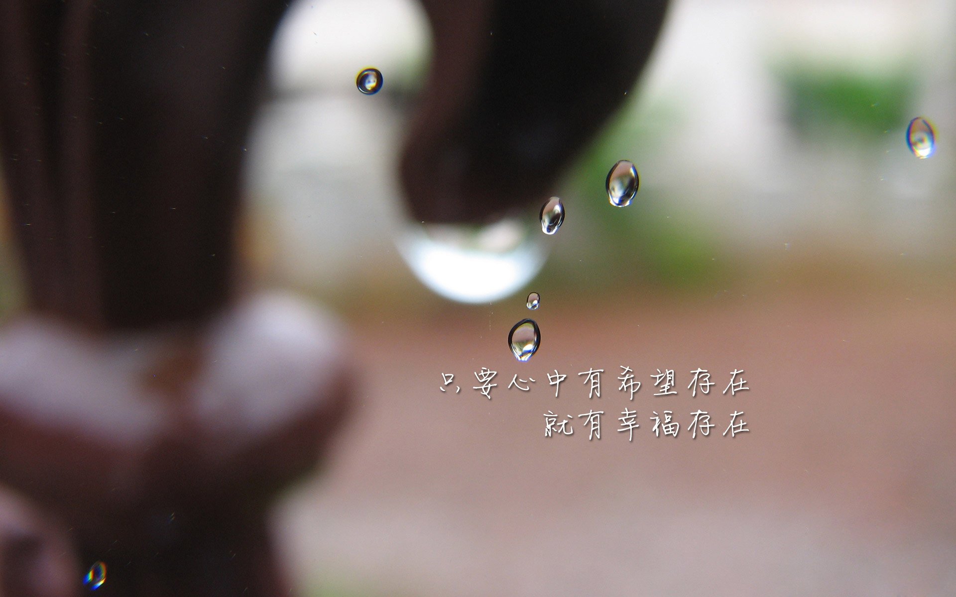 东方风暴席卷安联，2026世界杯F组，泰国足球的史诗之夜